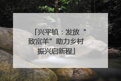 兴平镇：发放“致富羊”助力乡村振兴启新程