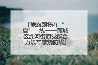 党旗飘扬在“三夏”一线——宛城区溧河街道党群合力筑牢禁烧防线