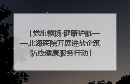 党旗飘扬·健康护航——北海医院开展进盐企筑防线健康服务行动