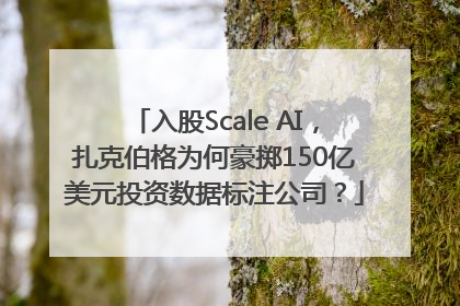 入股Scale AI，扎克伯格为何豪掷150亿美元投资数据标注公司？