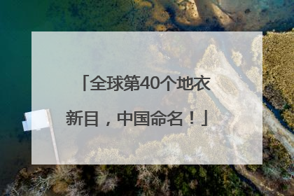 全球第40个地衣新目，中国命名！