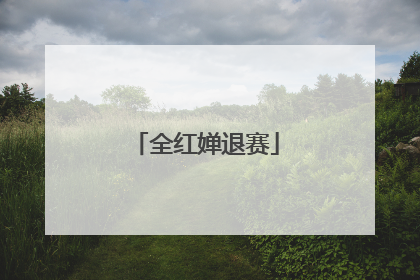全红婵退赛
