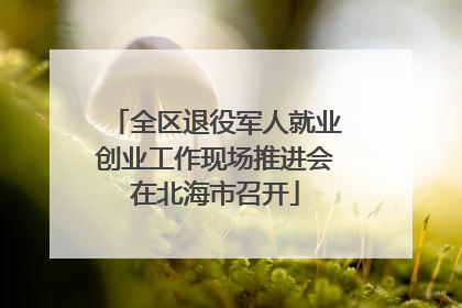 全区退役军人就业创业工作现场推进会在北海市召开