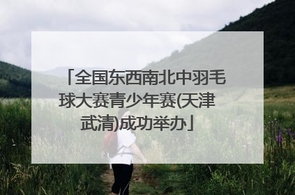全国东西南北中羽毛球大赛青少年赛(天津武清)成功举办