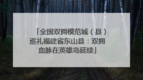全国双拥模范城（县）巡礼福建省东山县：双拥血脉在英雄岛延续