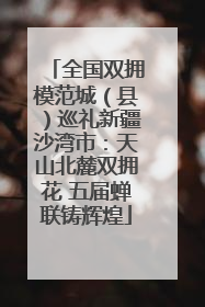 全国双拥模范城（县）巡礼新疆沙湾市：天山北麓双拥花 五届蝉联铸辉煌