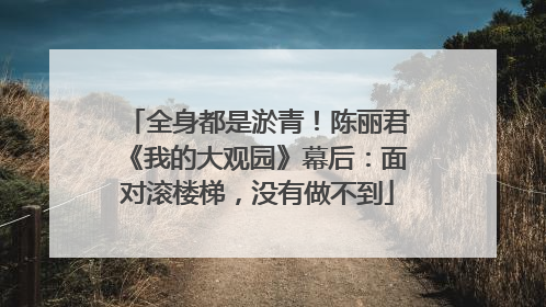 全身都是淤青！陈丽君《我的大观园》幕后：面对滚楼梯，没有做不到