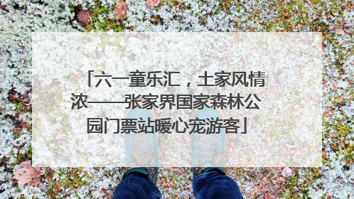 六一童乐汇，土家风情浓——张家界国家森林公园门票站暖心宠游客