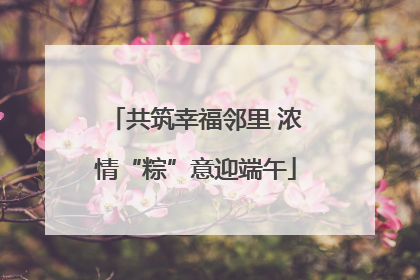 共筑幸福邻里 浓情“粽”意迎端午