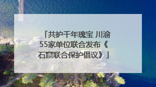 共护千年瑰宝 川渝55家单位联合发布《石窟联合保护倡议》