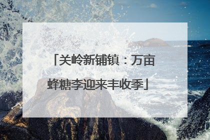 关岭新铺镇：万亩蜂糖李迎来丰收季