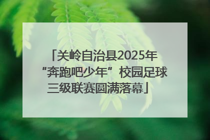 关岭自治县2025年“奔跑吧少年”校园足球三级联赛圆满落幕