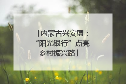 内蒙古兴安盟：“阳光银行”点亮乡村振兴路