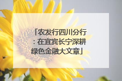 农发行四川分行：在宜宾长宁深耕绿色金融大文章