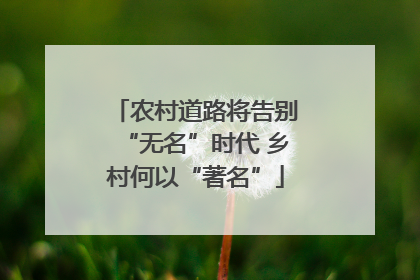 农村道路将告别“无名”时代 乡村何以“著名”