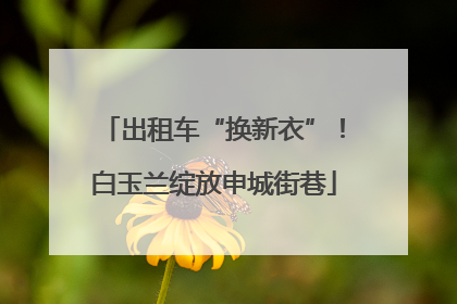 出租车“换新衣”！白玉兰绽放申城街巷