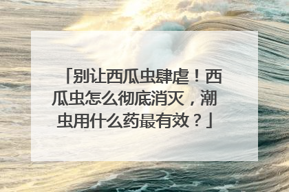 别让西瓜虫肆虐！西瓜虫怎么彻底消灭，潮虫用什么药最有效？