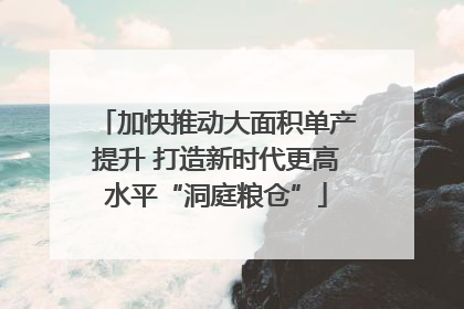 加快推动大面积单产提升 打造新时代更高水平“洞庭粮仓”