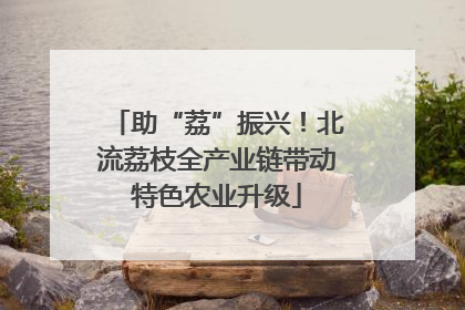 助“荔”振兴！北流荔枝全产业链带动特色农业升级