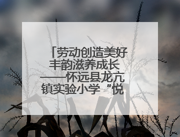 劳动创造美好 丰韵滋养成长——怀远县龙亢镇实验小学“悦劳丰韵节”闭幕式圆满举行