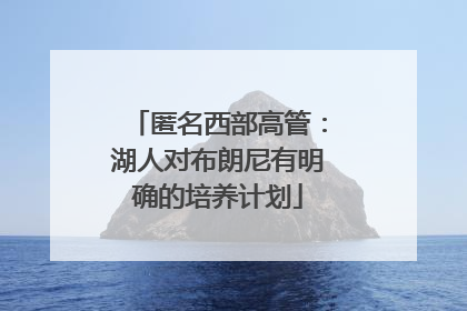匿名西部高管：湖人对布朗尼有明确的培养计划