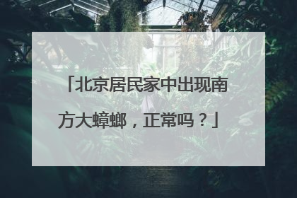 北京居民家中出现南方大蟑螂，正常吗？