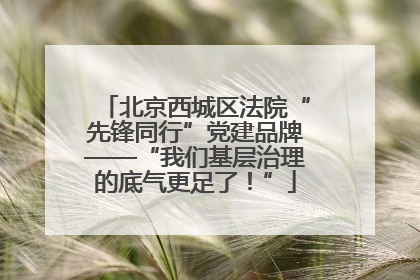 北京西城区法院“先锋同行”党建品牌——“我们基层治理的底气更足了！”