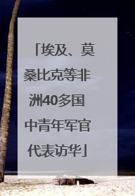 埃及、莫桑比克等非洲40多国中青年军官代表访华
