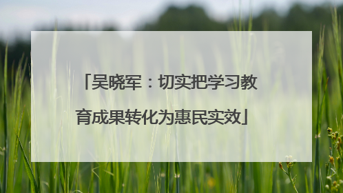 吴晓军：切实把学习教育成果转化为惠民实效