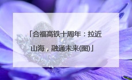 合福高铁十周年：拉近山海，融通未来(图)