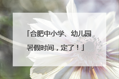 合肥中小学、幼儿园暑假时间，定了！