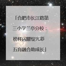 合肥市长江路第三小学兰亭分校：榜样闪耀绽光彩 五育融合助成长
