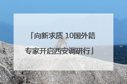 向新求质 10国外籍专家开启西安调研行