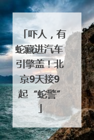 吓人，有蛇藏进汽车引擎盖！北京9天接9起“蛇警”