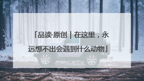 品读·原创｜在这里，永远想不出会遇到什么动物
