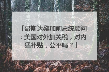 哥斯达黎加前总统顾问：美国对外加关税，对内猛补贴，公平吗？