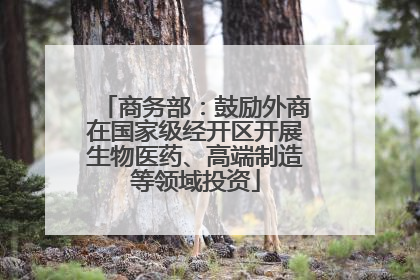 商务部：鼓励外商在国家级经开区开展生物医药、高端制造等领域投资