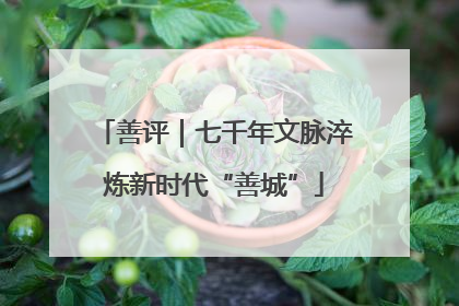 善评｜七千年文脉淬炼新时代“善城”