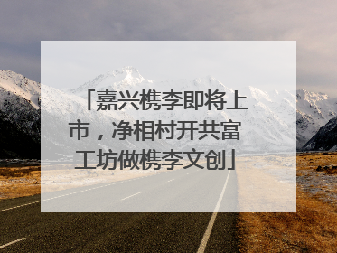 嘉兴槜李即将上市，净相村开共富工坊做槜李文创