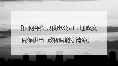 国网平舆县供电公司：迎峰度夏保供电  数智赋能守清凉