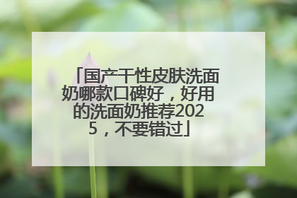 国产干性皮肤洗面奶哪款口碑好，好用的洗面奶推荐2025，不要错过