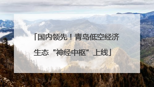 国内领先！青岛低空经济生态“神经中枢”上线