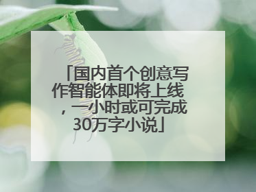 国内首个创意写作智能体即将上线，一小时或可完成30万字小说