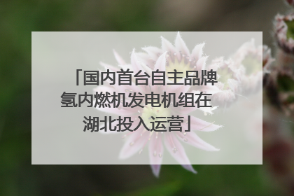 国内首台自主品牌氢内燃机发电机组在湖北投入运营