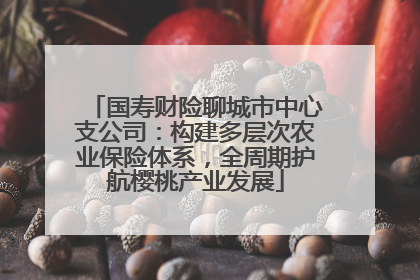 国寿财险聊城市中心支公司：构建多层次农业保险体系，全周期护航樱桃产业发展