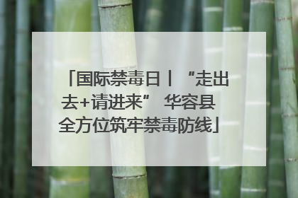 国际禁毒日丨“走出去+请进来” 华容县全方位筑牢禁毒防线