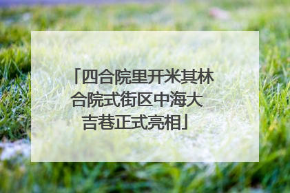 四合院里开米其林 合院式街区中海大吉巷正式亮相