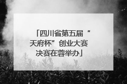 四川省第五届“天府杯”创业大赛决赛在蓉举办