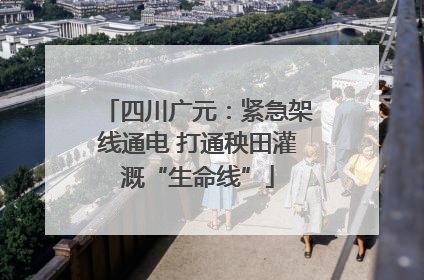 四川广元：紧急架线通电 打通秧田灌溉“生命线”