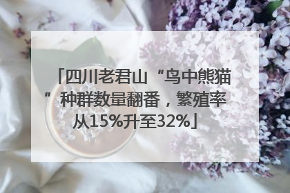 四川老君山“鸟中熊猫”种群数量翻番，繁殖率从15%升至32%